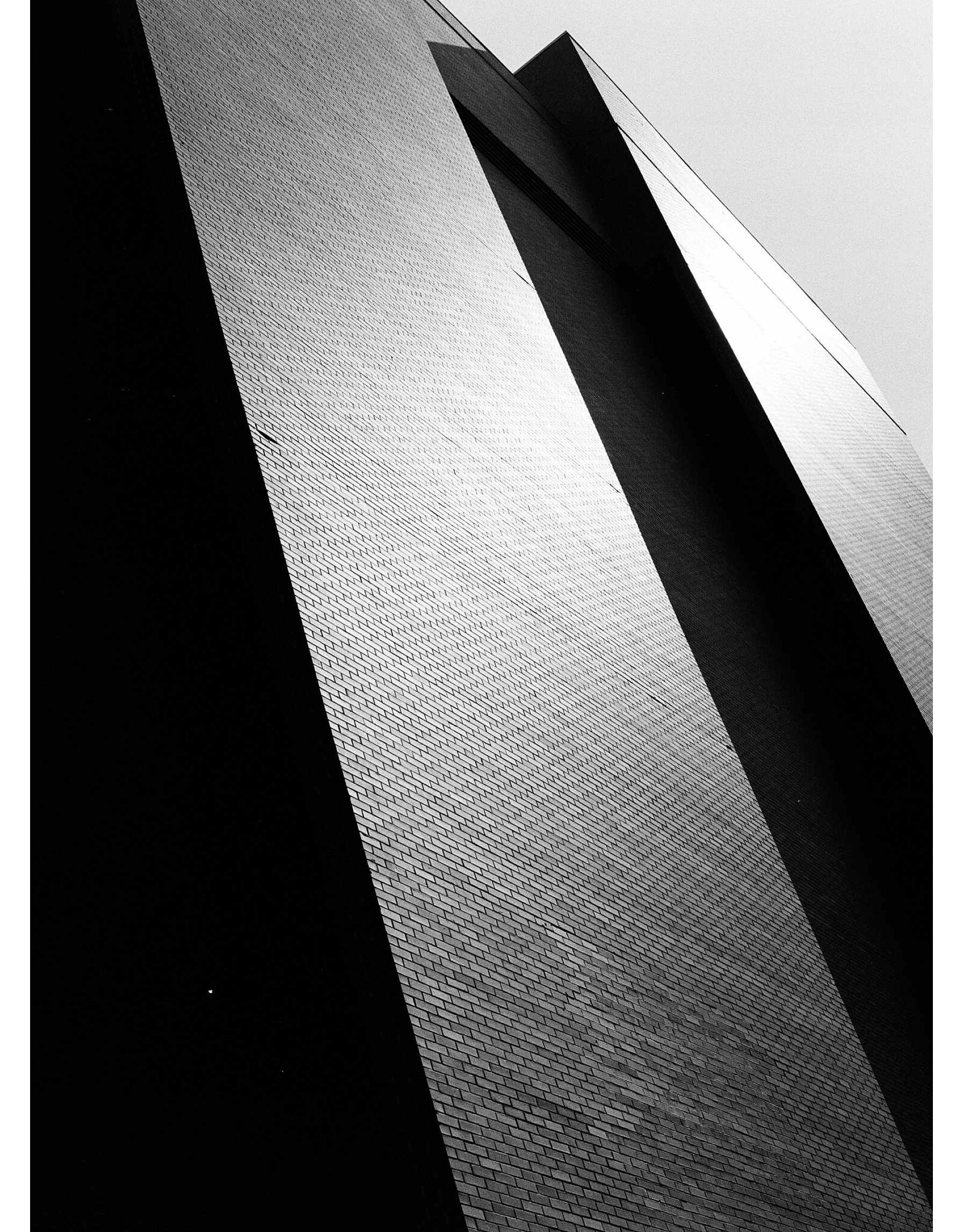 Kodak Kodak Eastman Professional Tri-X 400 B&W (120 Roll Film)