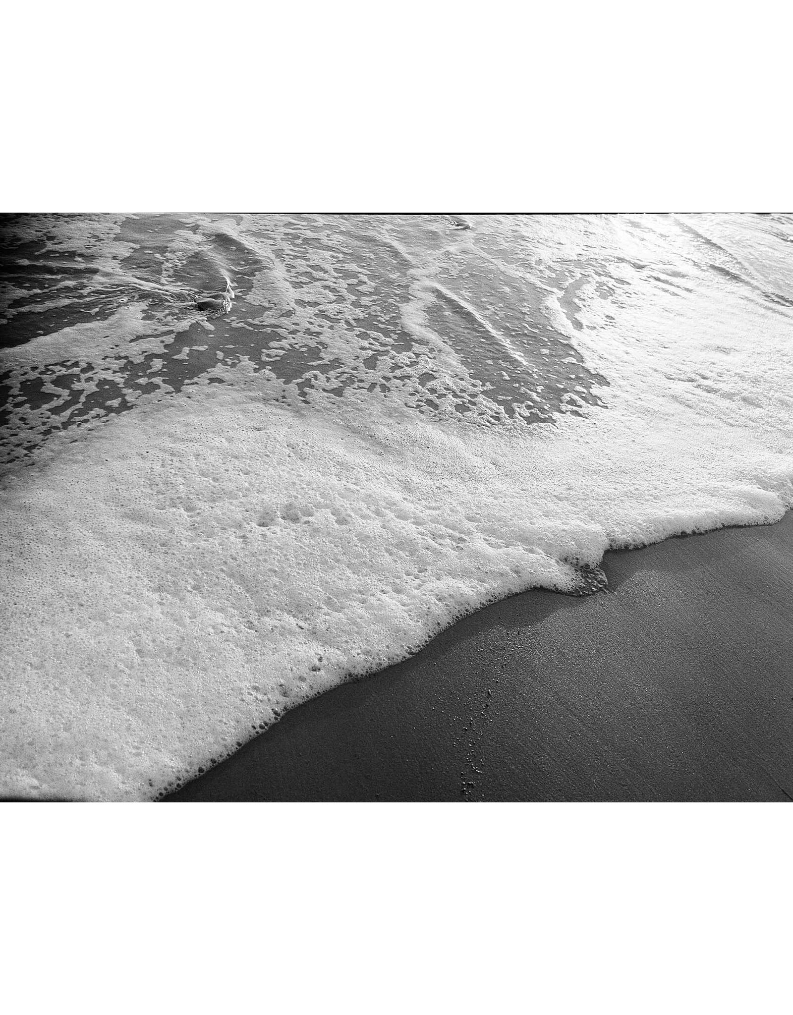 Kodak Kodak Eastman Professional Tri-X 400 B&W (120 Roll Film)