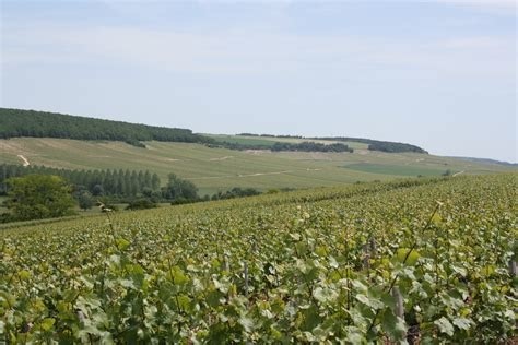 Chablis Montmains 1er Cru 2015