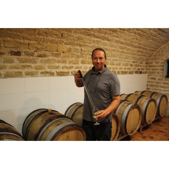 Chablis Montmains 1er Cru 2015