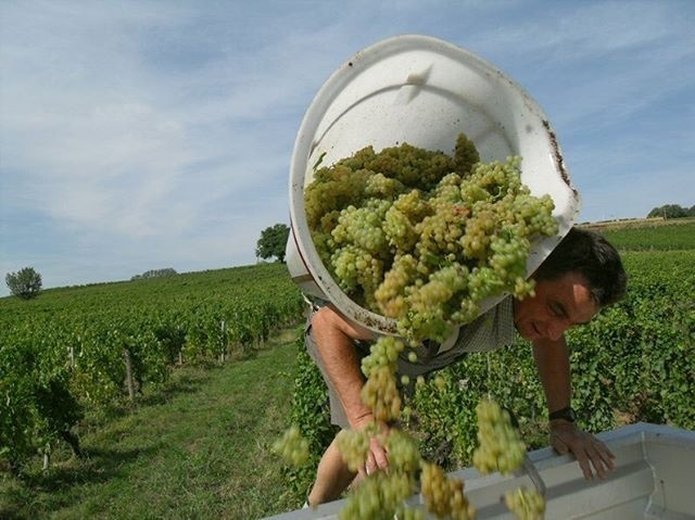 Pouilly Fuisse Clos Reyssie 2019