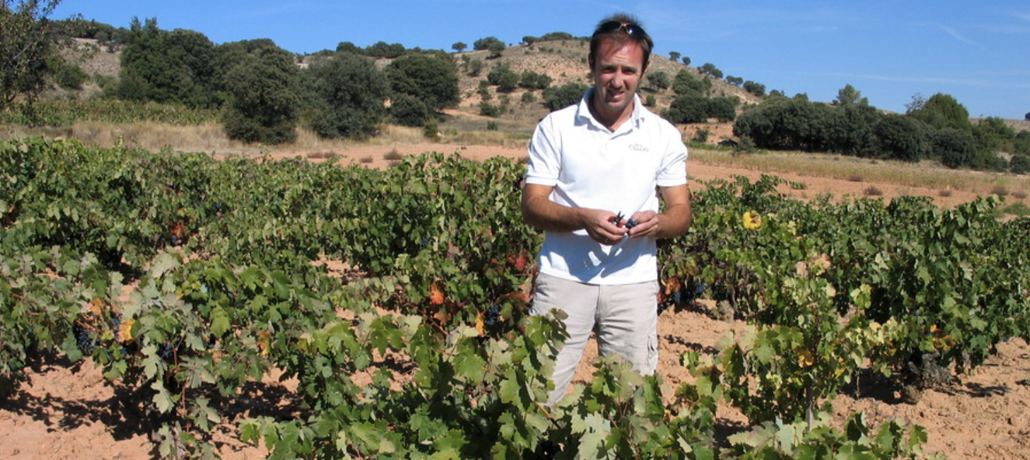 De absolute top uit Spanje, Bodegas Felix Callejo