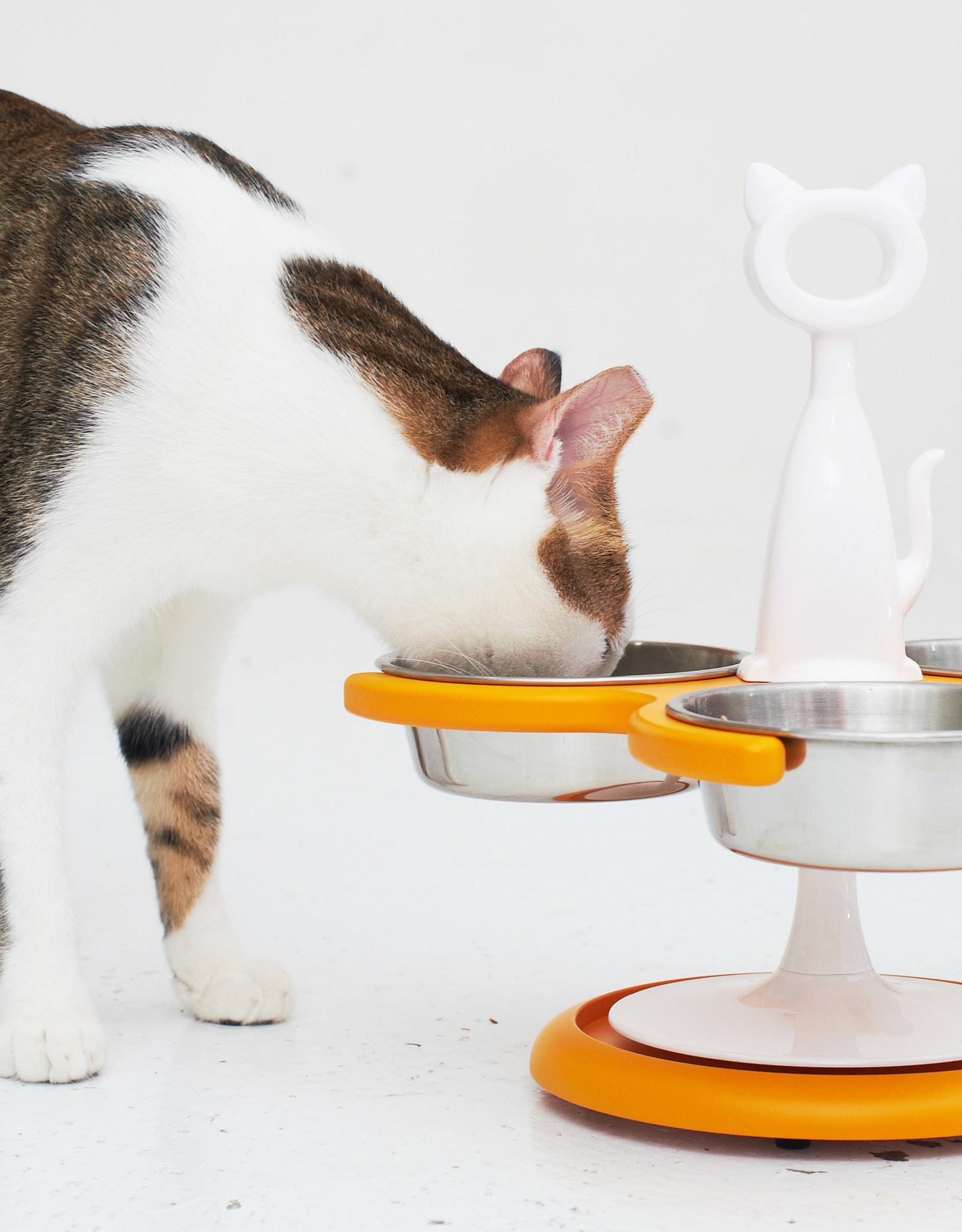 Catswall Design eet-en drinkbak 3 bowls feeder