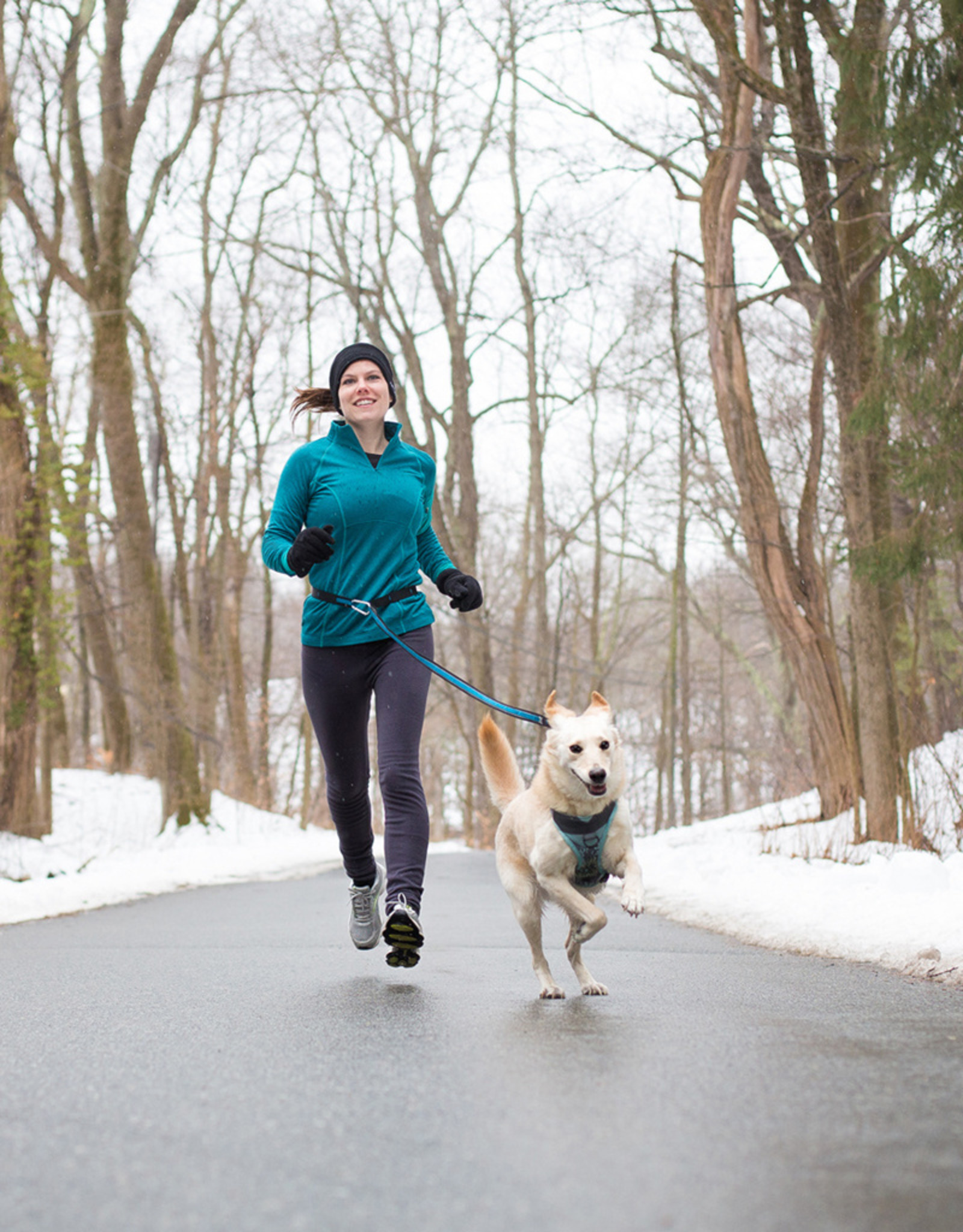 Kurgo quantum leash