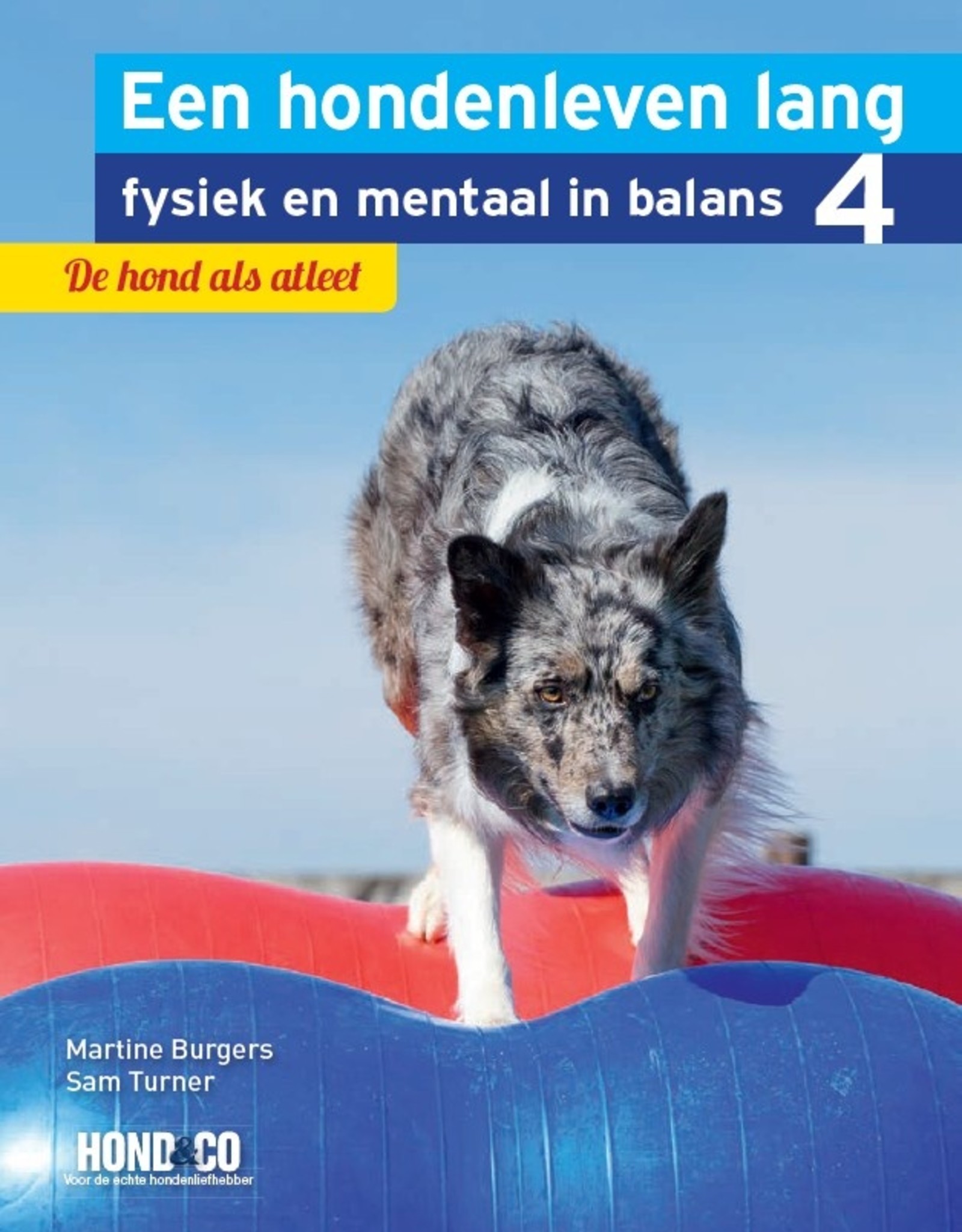 Een hondenleven lang fysiek en mentaal in balans Deel 4: De hond als atleet