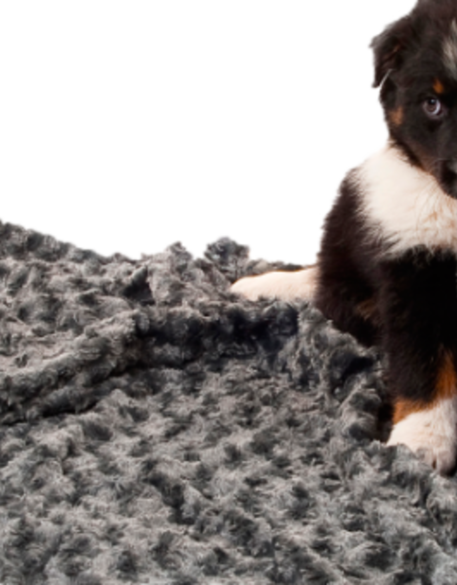 51 Degrees North Honden deken - curly blanket