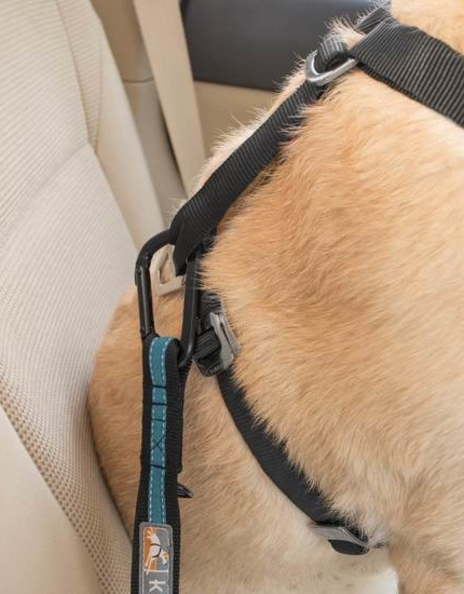 Kurgo Direct To Seat Belt Tether
