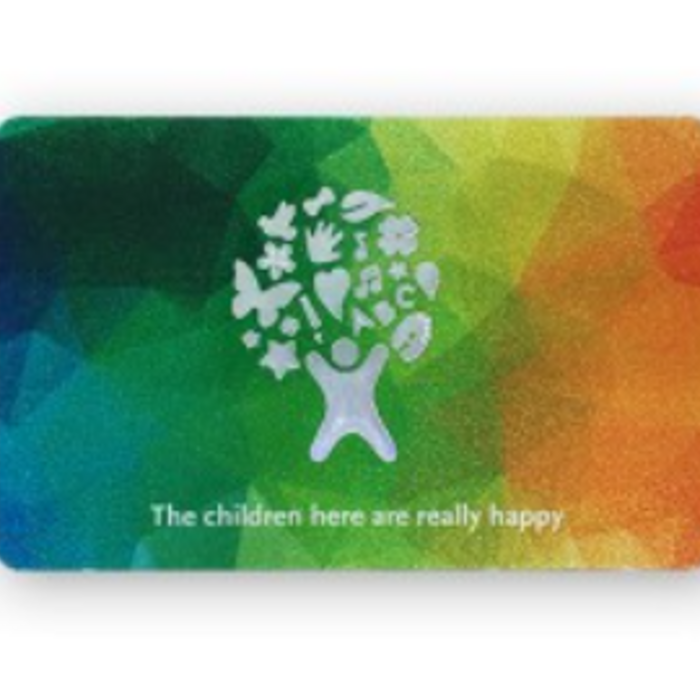 RISolutions 13.56Mhz HF Rfid Card (Price on request)