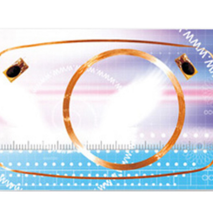 RISolutions Dual Frequency Rfid Card/Hybrid Card (Price on request)