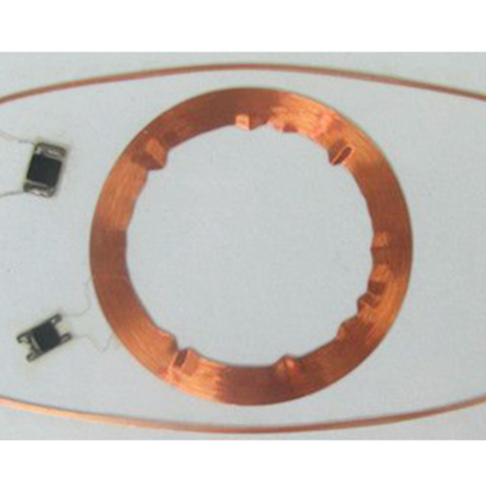 RISolutions Dual Frequency Rfid Card/Hybrid Card (Price on request)