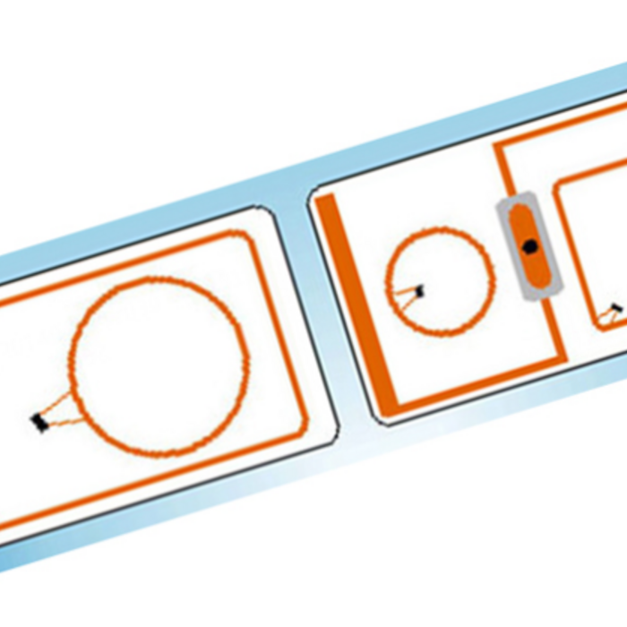 RISolutions Dual Frequency Rfid Card/Hybrid Card (Price on request)