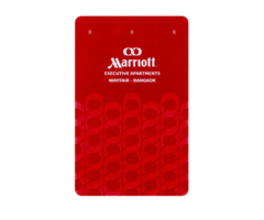 RISolutions Fudan F08 Card (price on request)