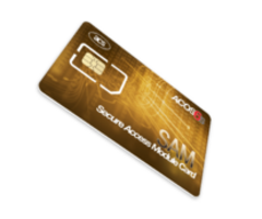 ACS Tarjeta de módulo de acceso seguro ACS ACOS6-SAM