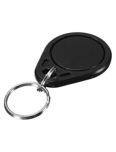 RISolutions Hitag 2 tag with key ring.