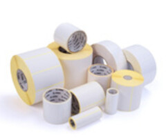 Zebra Zebra Z-Perform 1000D, label roll, thermal paper, 105x162mm | 3007558-T