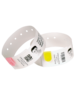 Zebra 10006995-1K Z-Band Direct, Adult, rot