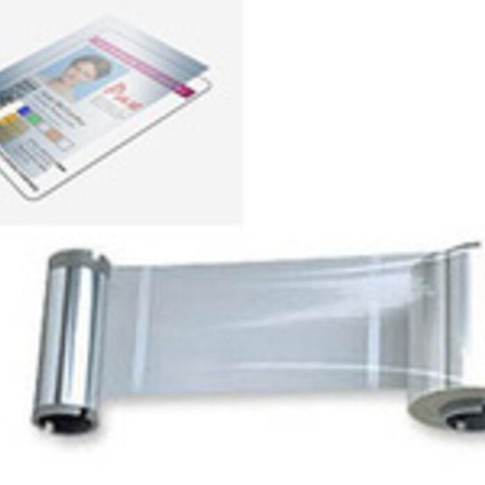 Zebra Zebra lamination ribbon | 800084-914