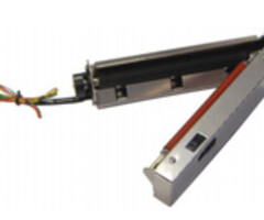 CITIZEN Pelador Citizen | 2000411