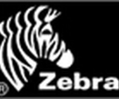 Zebra 76175 Zebra Z-Perform 1000T, Etikettenrolle, Normalpapier, 76x51mm