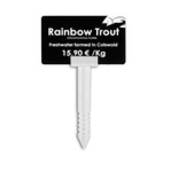 EVOLIS AC000004 Evolis wide ticket spikes, wide