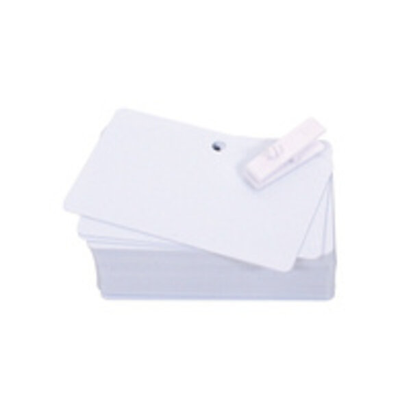 EVOLIS Evolis Plastic Cards, 100 pcs. | C4512