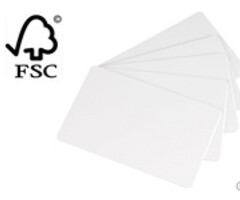 EVOLIS Evolis paper cards, pack of 500 | C2501
