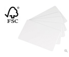 EVOLIS Tarjetas de papel Evolis, paquete de 500 | C2501