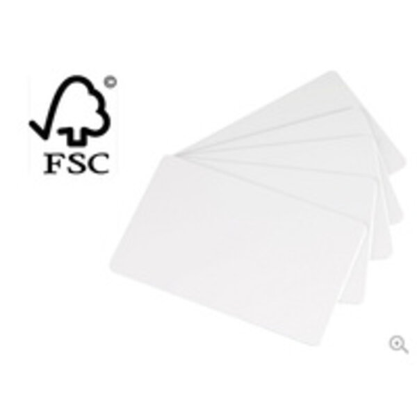 EVOLIS Evolis paper cards, pack of 500 | C2501