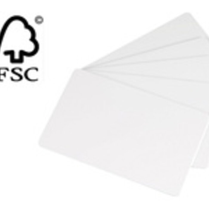 EVOLIS Evolis paper cards, pack of 500 | C2501