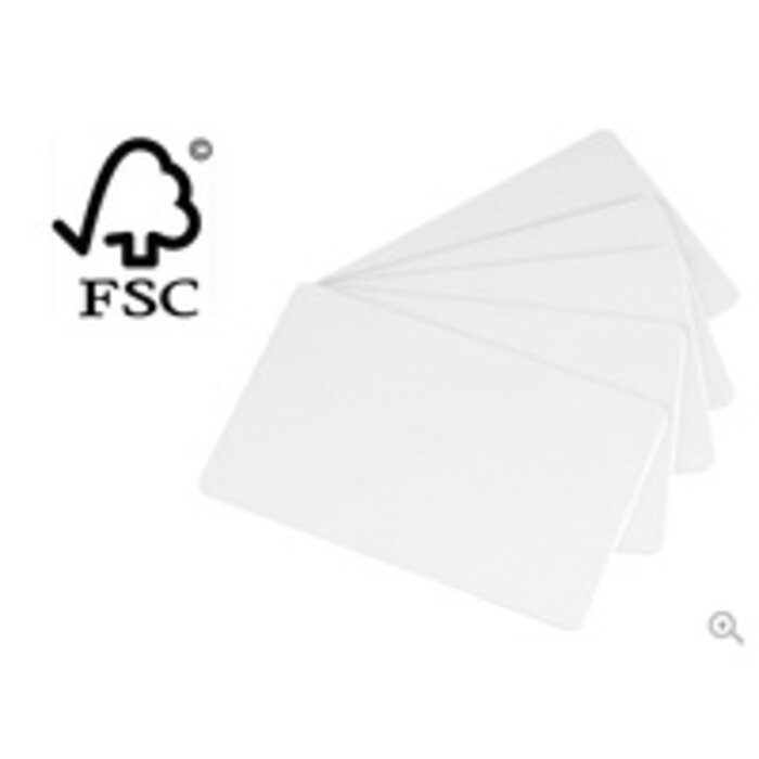 EVOLIS Evolis paper cards, pack of 500, 500 stuks