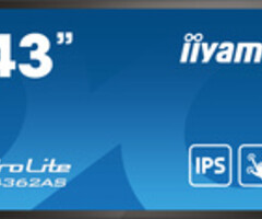 IIYAMA T4362AS-B1 iiyama ProLite T4362AS-B1 Android, 109,2 cm (43''), capacitif projeté, 4K, noir