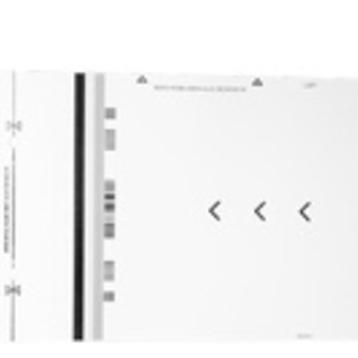 Honeywell Honeywell calibration card | 50144663-001