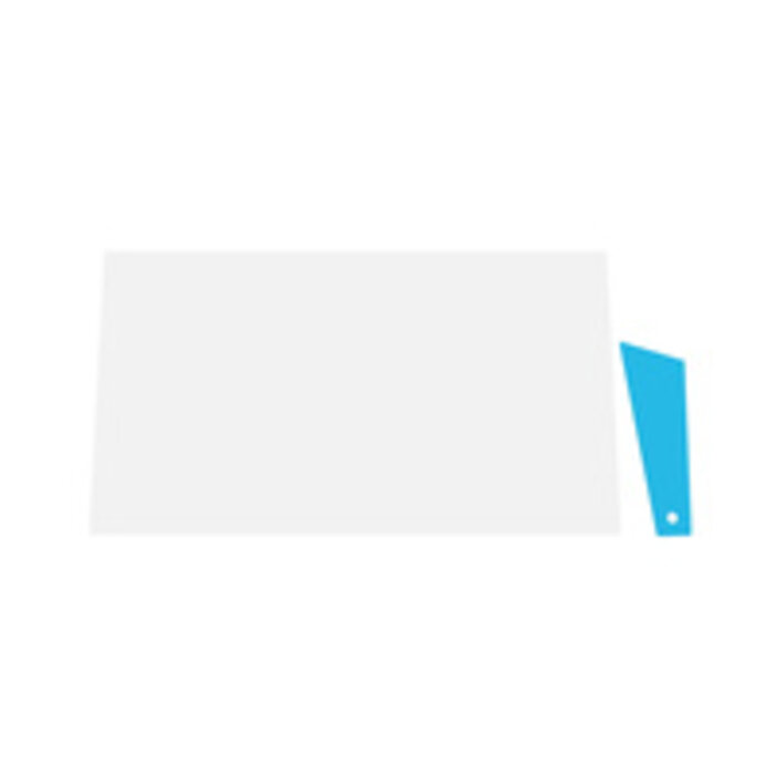 PANASONIC Panasonic screen protector, 250 g, fits for: TOUGHBOOK 55