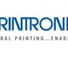 PRINTRONIX 251012-001 Printronix Druckkopf, 12 Punkte/mm (300dpi)