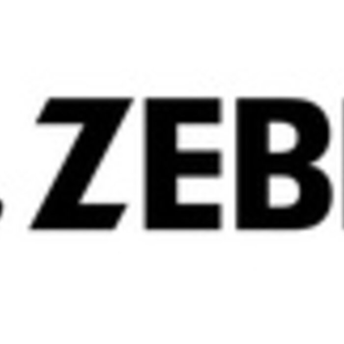 Zebra Correa de mano Zebra, paquete de 3 | KT-66447-03R