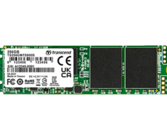 ELO E206556 Elo M.2 SSD, 256 GB