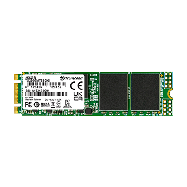 ELO Elo M.2 SSD, 256 GB | E206556