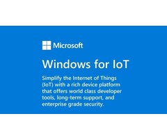 MICROSOFT Windows 11 IoT Ent., Valor | MS0 FZP-00025
