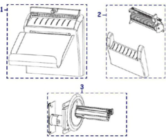 Zebra Pelador de cebra | P1058930-106