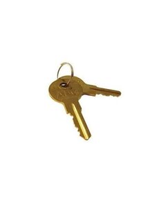  50111 APG spare key