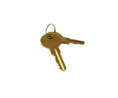 Llave de repuesto APG | 50111