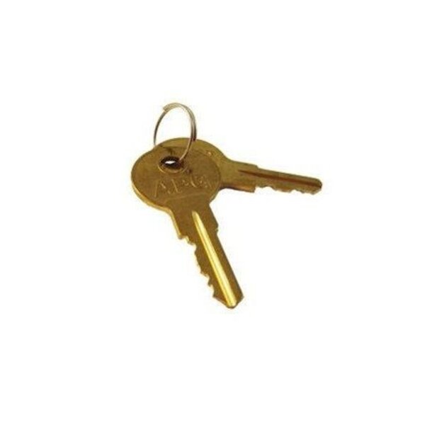 50111 APG spare key
