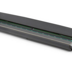 Zebra P1112640-241 Zebra Ersatzdruckkopf, 12 Punkte/mm (300 dpi)