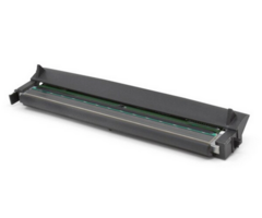 Zebra Zebra spare print head, 12 dots/mm (300 dpi), fits for: ZD621t