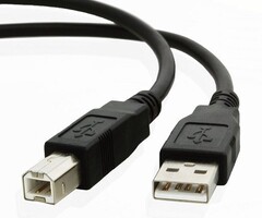 Zebra P1031365-055 Zebra Verbindungskabel, USB