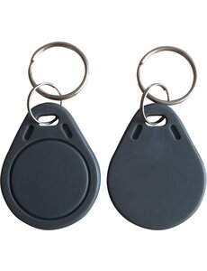  10 pieces of Mifare Classic 1K key fobs Gray - RFID Tags - RFID