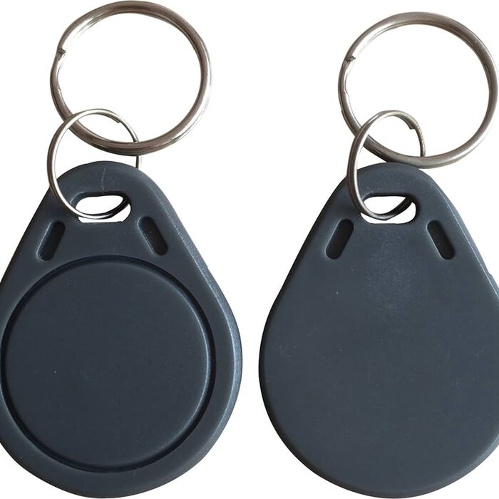 10 stuks Mifare classic 1K sleutelhangers Grijs- RFID Tags - RFID