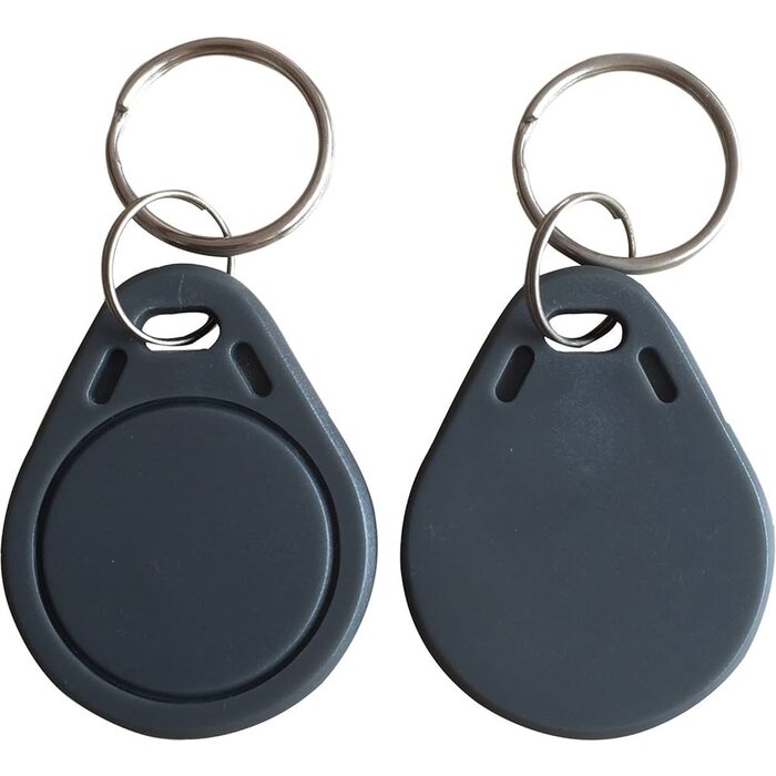 10 llaveros Mifare Classic 1K grises - Etiquetas RFID - RFID