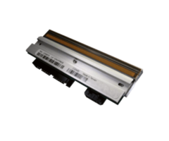 CITIZEN Tête d'impression de rechange Citizen, 8 points/mm (203 dpi) | PPM80053-0