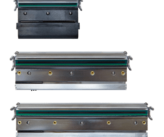 TSC Testina di stampa TSC, 8 punti/mm (203 dpi), MH241 | PH-MH241-0004